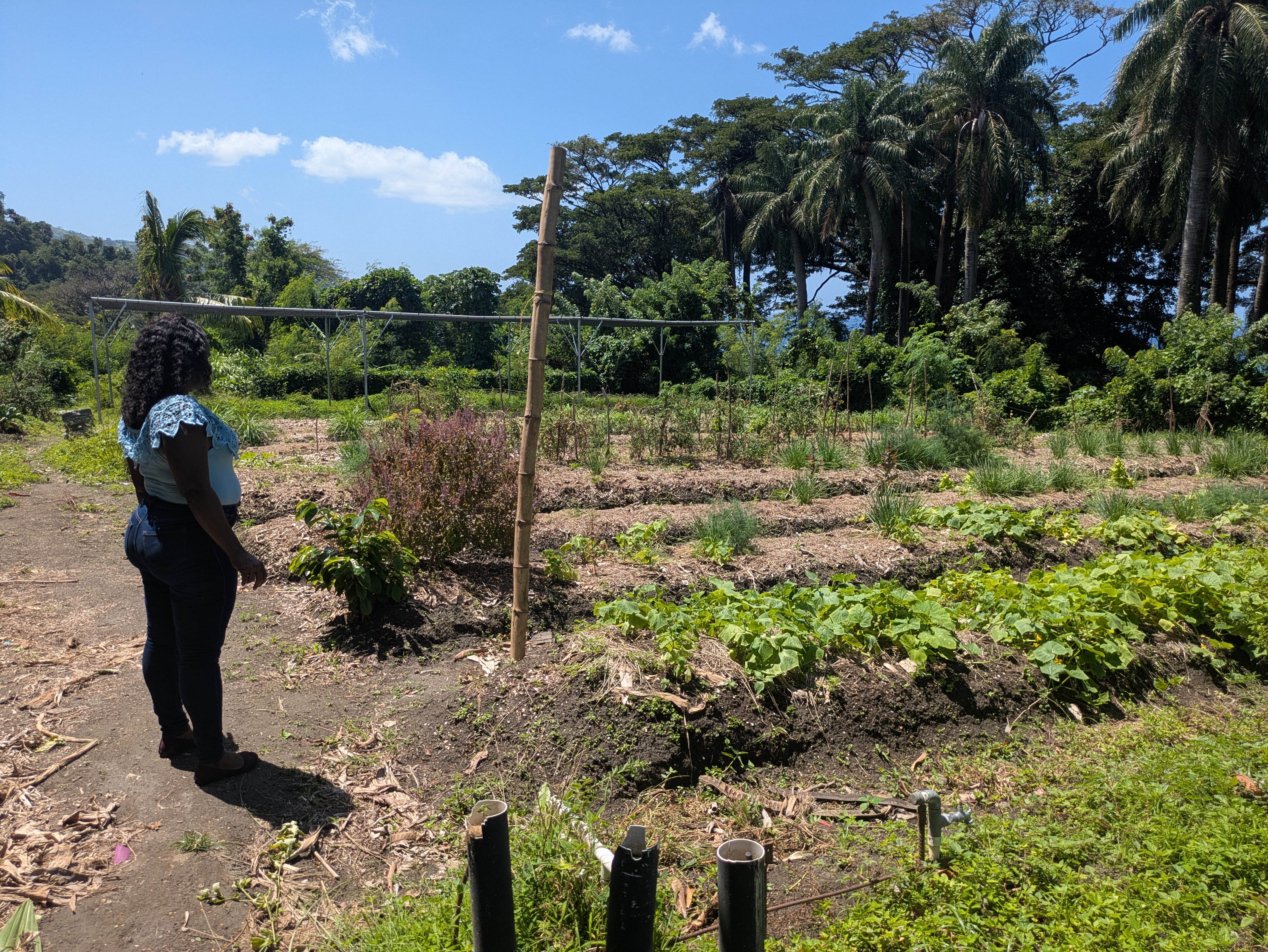 RVATour5 - One of the participants admiring the vegetable and herb plot